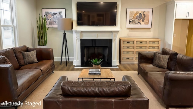 living area featuring a fireplace with flush hearth and wood finished floors