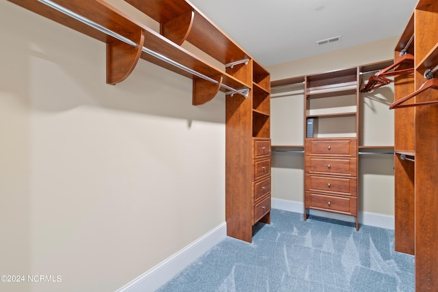 spacious closet with dark colored carpet