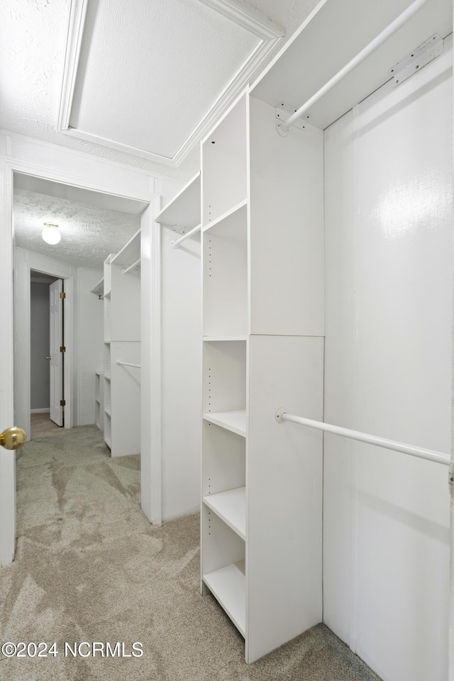 walk in closet featuring carpet