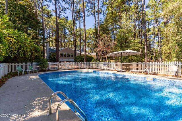 view of swimming pool with a patio