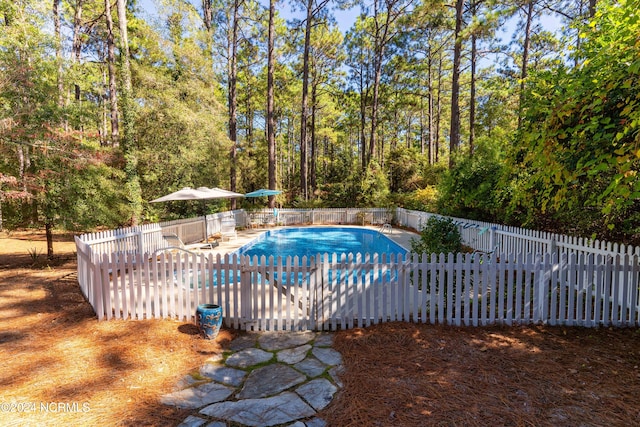 view of pool featuring a patio