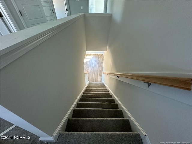 stairway with carpet flooring and a wealth of natural light