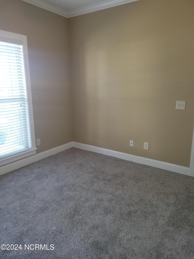 spare room with crown molding and carpet floors