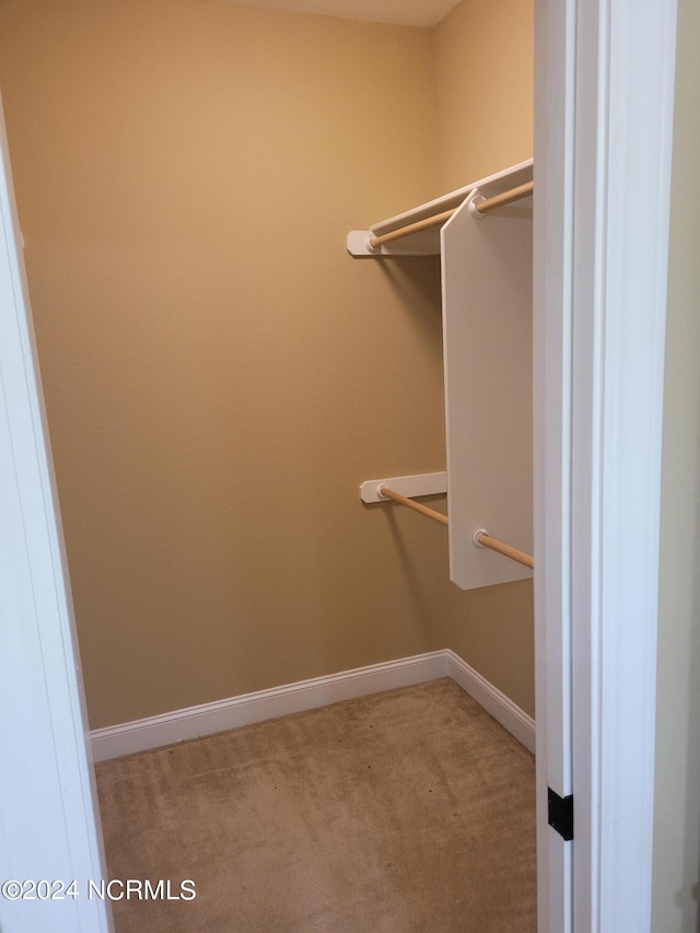 spacious closet featuring light colored carpet