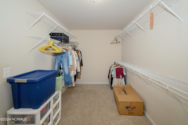 spacious closet featuring carpet flooring