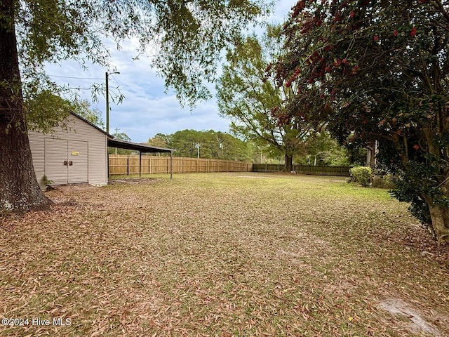 view of yard featuring a storage shed