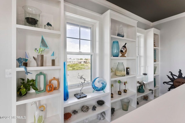 mudroom with ornamental molding