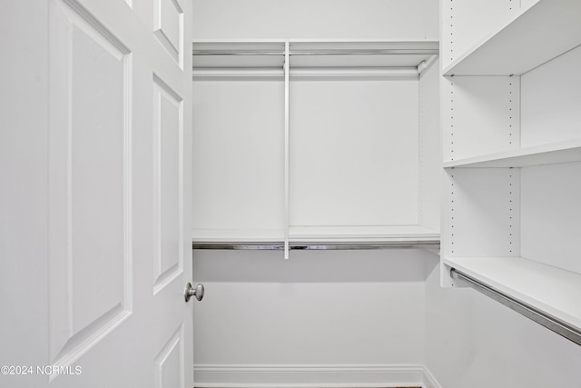 view of spacious closet