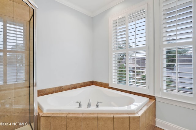 bathroom featuring ornamental molding and independent shower and bath