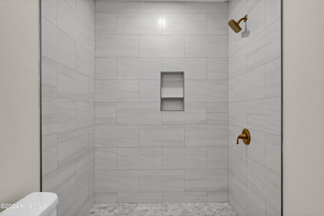 bathroom with a tile shower and toilet