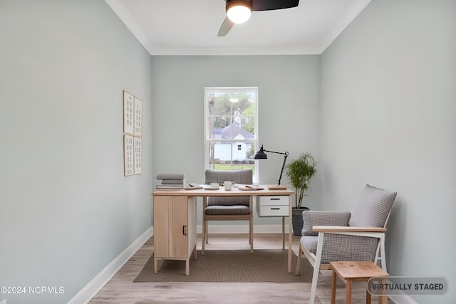 office area featuring light hardwood / wood-style floors and ceiling fan