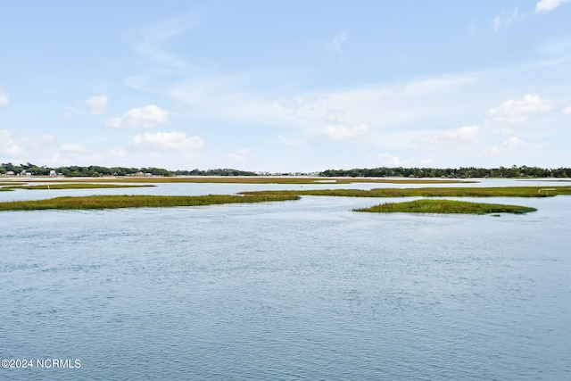 view of water feature