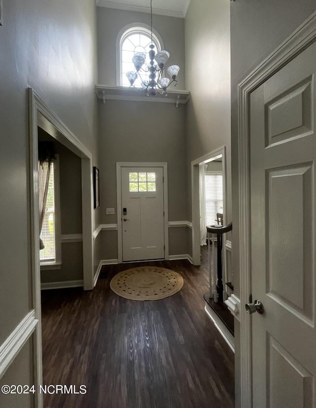 entrance foyer with a towering ceiling, a healthy amount of sunlight, and dark hardwood / wood-style flooring