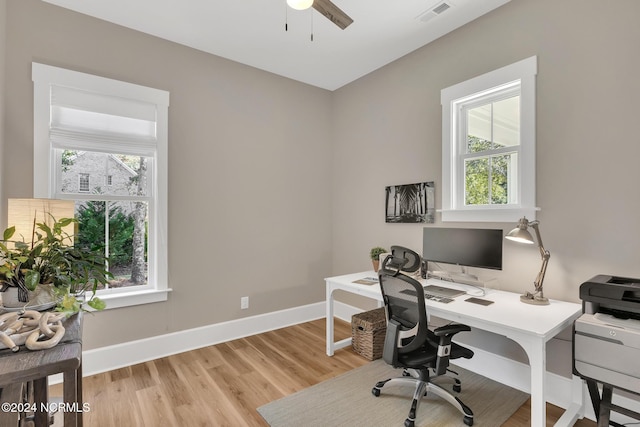 office featuring ceiling fan, a healthy amount of sunlight, and light hardwood / wood-style flooring