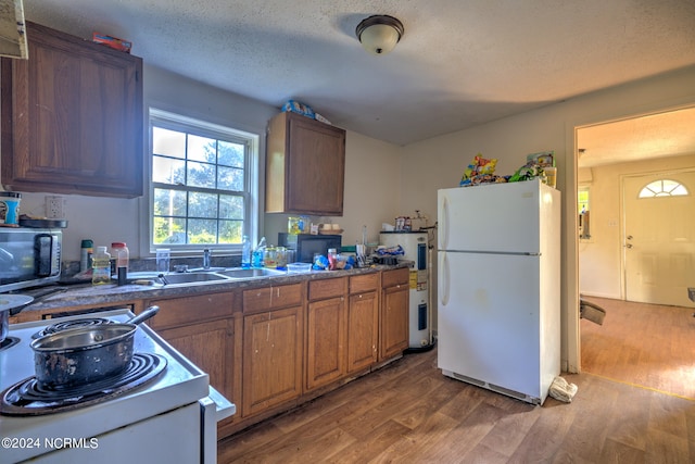 kitchen with sink, wood-type flooring, a textured ceiling, and white refrigerator