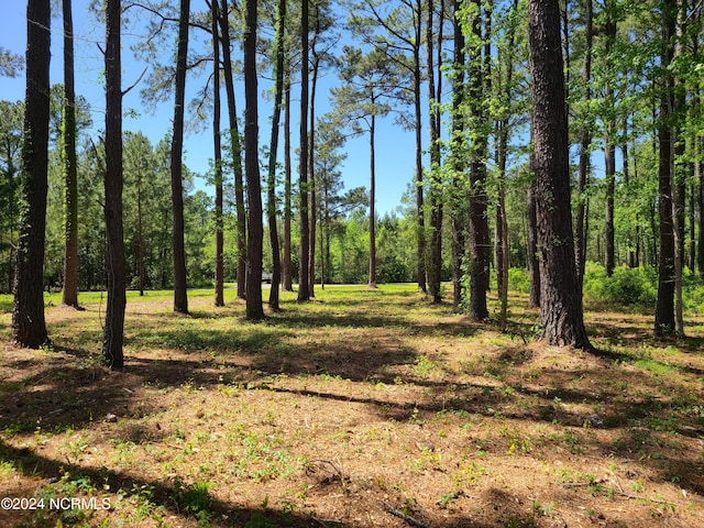 3/3A Gray Goose Dr, Aurora, NC 27806