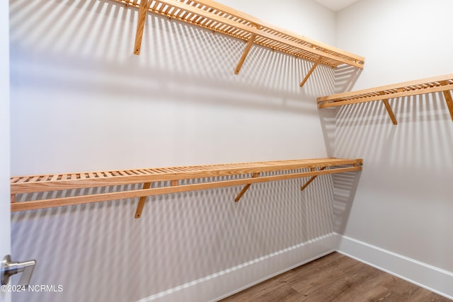 walk in closet featuring wood-type flooring