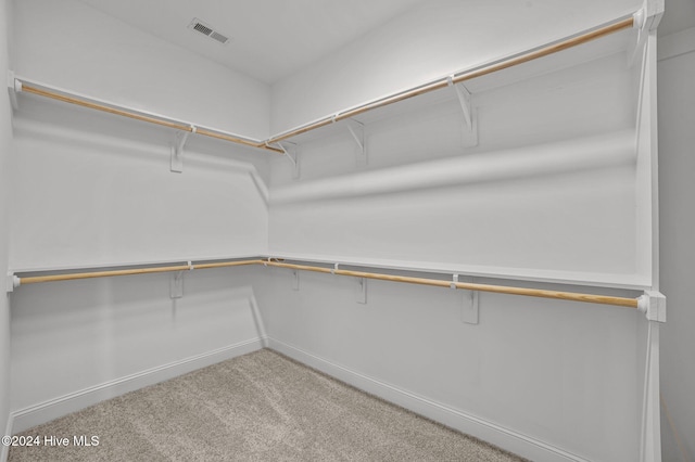 spacious closet featuring carpet floors