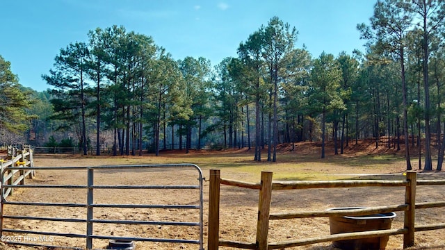 view of yard with a rural view