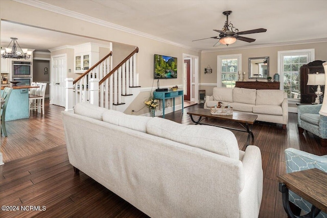 living room featuring dark wood-type flooring, ceiling fan with notable chandelier, and ornamental molding