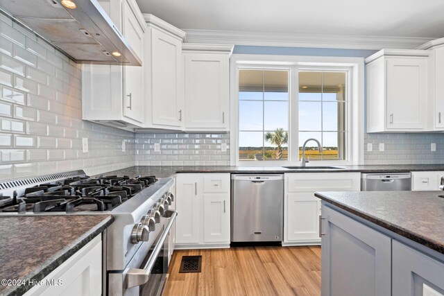 kitchen with tasteful backsplash, range hood, appliances with stainless steel finishes, sink, and white cabinets