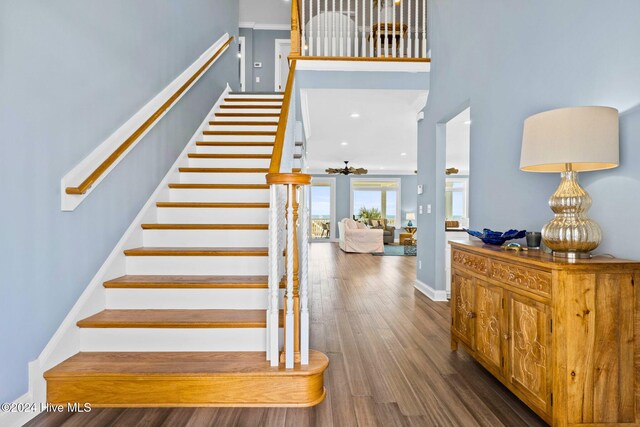 stairs with hardwood / wood-style floors