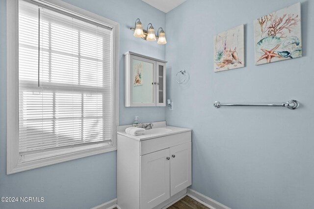 bathroom featuring vanity, hardwood / wood-style flooring, and plenty of natural light