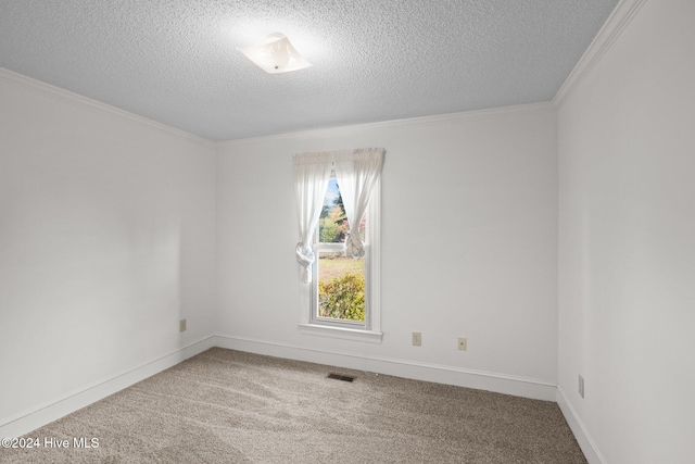 empty room featuring crown molding, carpet, and a textured ceiling