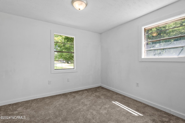 unfurnished room featuring carpet and a textured ceiling