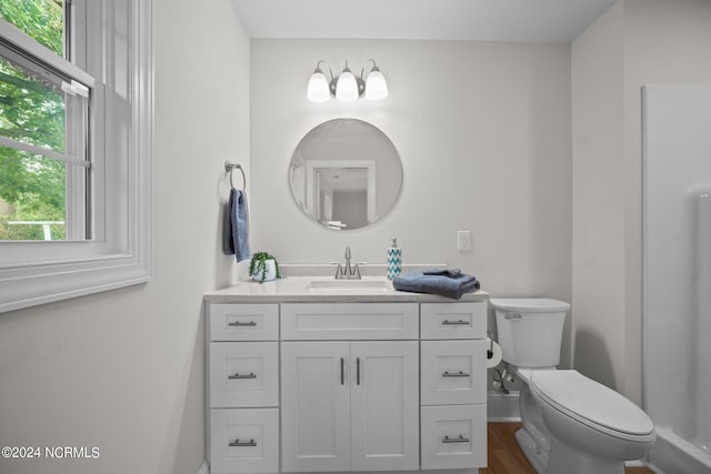 bathroom with vanity, toilet, and wood-type flooring