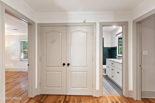 closet featuring sink