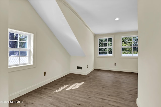 additional living space with plenty of natural light, wood-type flooring, and vaulted ceiling