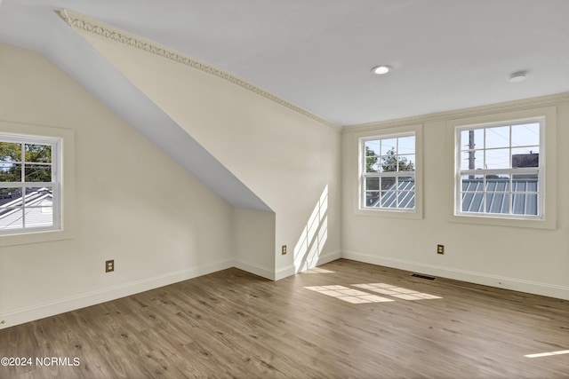 additional living space featuring light hardwood / wood-style floors, vaulted ceiling, and plenty of natural light