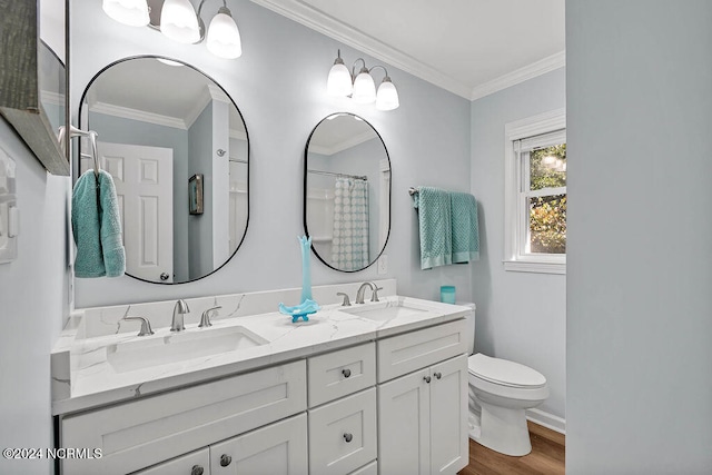 bathroom with vanity, toilet, crown molding, and wood-type flooring