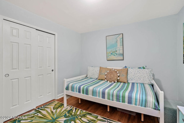 bedroom with a closet and wood-type flooring