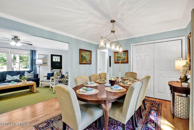 dining room featuring crown molding, wood-type flooring, and ceiling fan with notable chandelier