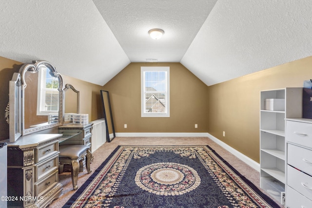 interior space featuring a wealth of natural light, vaulted ceiling, and a textured ceiling