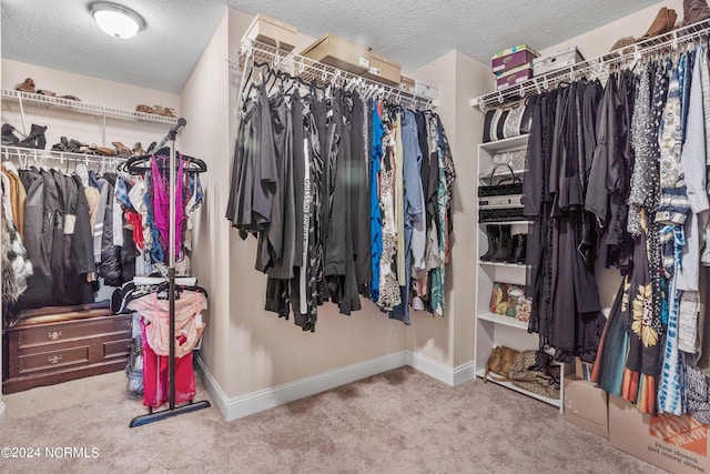 spacious closet with carpet floors