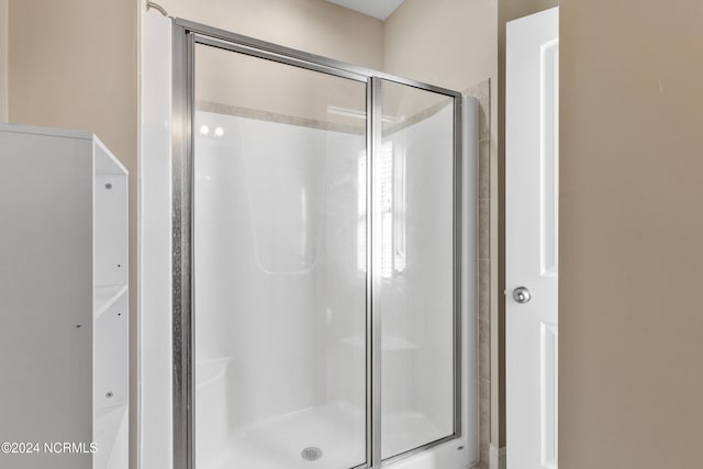 bathroom featuring a shower with door