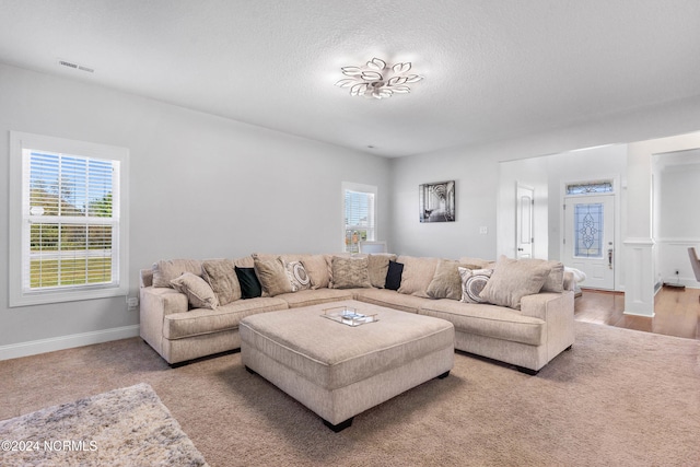 living room featuring hardwood / wood-style floors and a textured ceiling