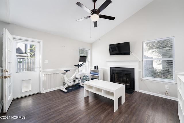 workout room with ceiling fan, high vaulted ceiling, radiator heating unit, and dark hardwood / wood-style floors