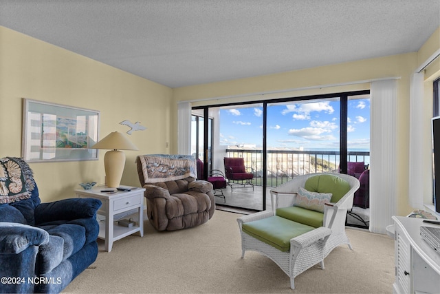 living area featuring light carpet and a textured ceiling