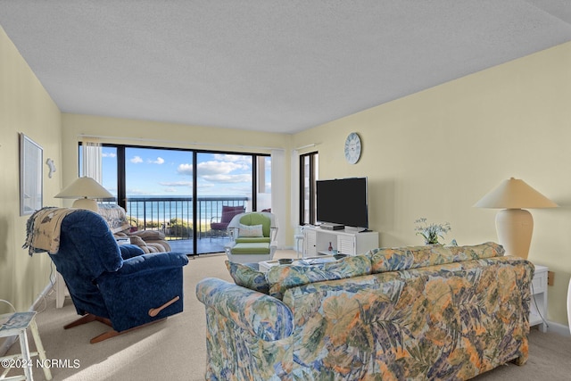 carpeted living room with a textured ceiling