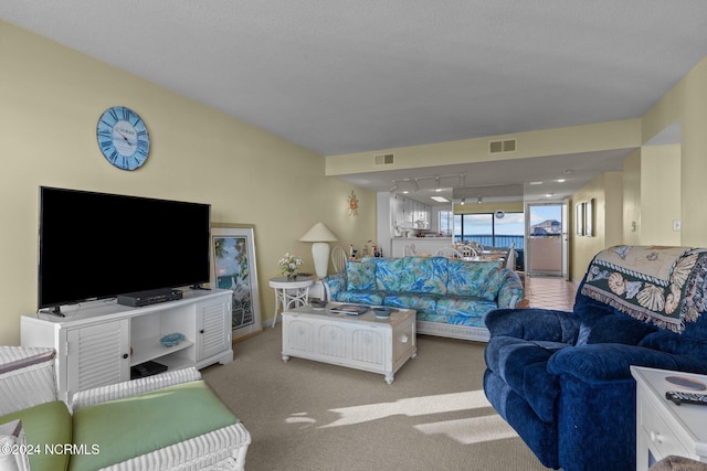 carpeted living room featuring a textured ceiling