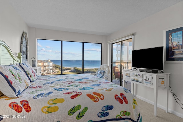 bedroom with a textured ceiling, access to exterior, and light colored carpet