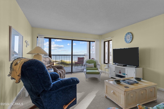 living room featuring light carpet and a textured ceiling