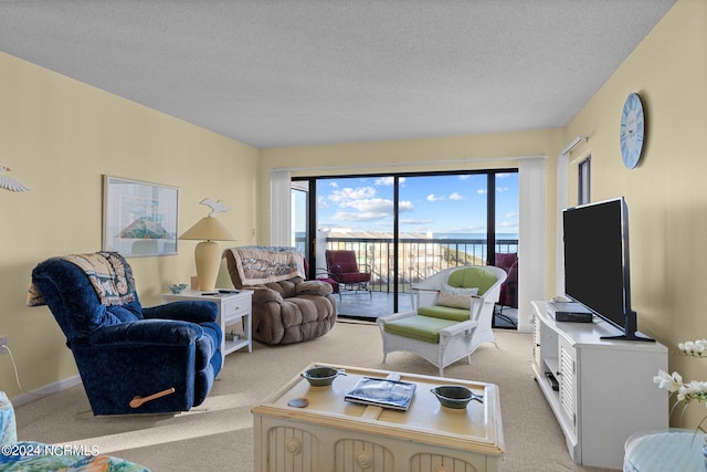 carpeted living room with a textured ceiling