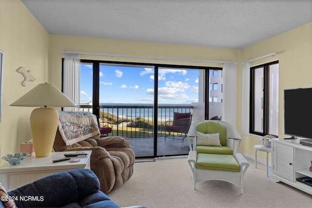 carpeted living room with a textured ceiling