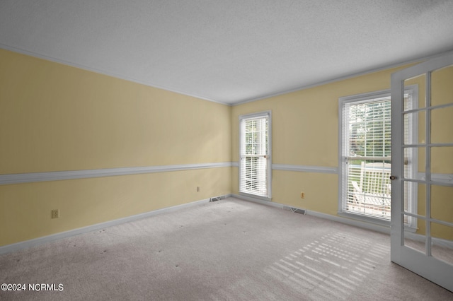 spare room with a textured ceiling, light colored carpet, and a wealth of natural light