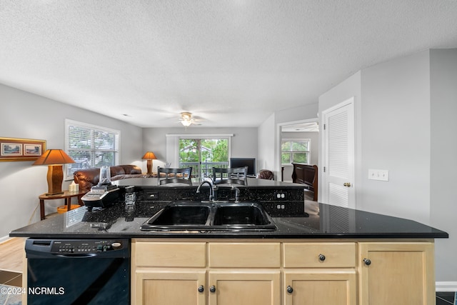 kitchen featuring black dishwasher, a textured ceiling, and sink